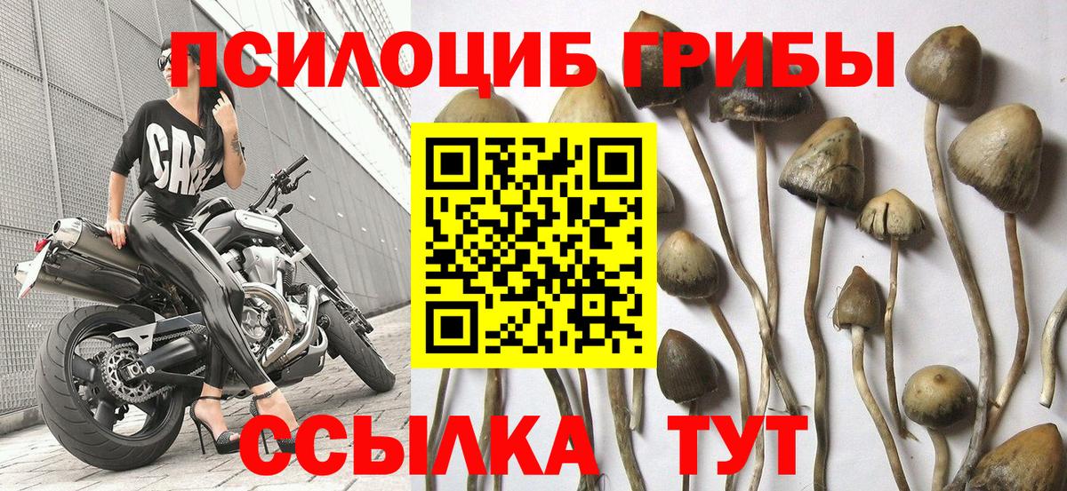 Псилоцибиновые грибы мухоморы Северодвинск