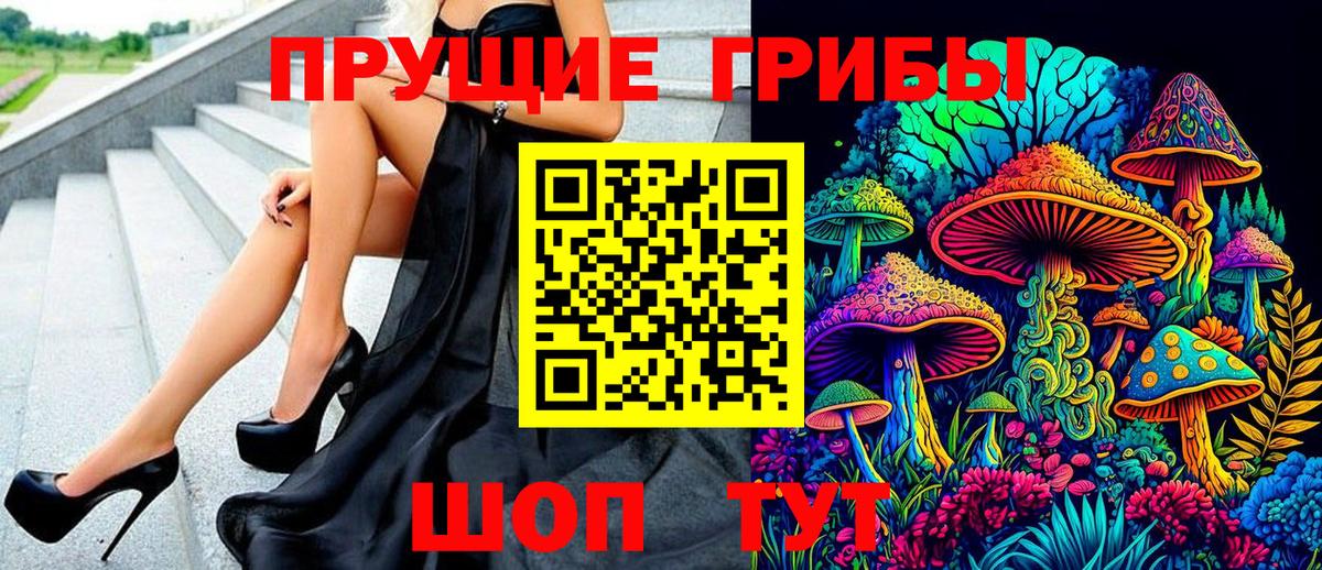 Северодвинск  Галлюциногенные грибы Psilocybe  Вход с VPN  Галлюциногенные грибы мухоморы 